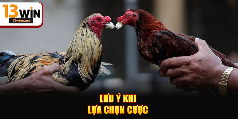 Lưu ý khi lựa chọn cược