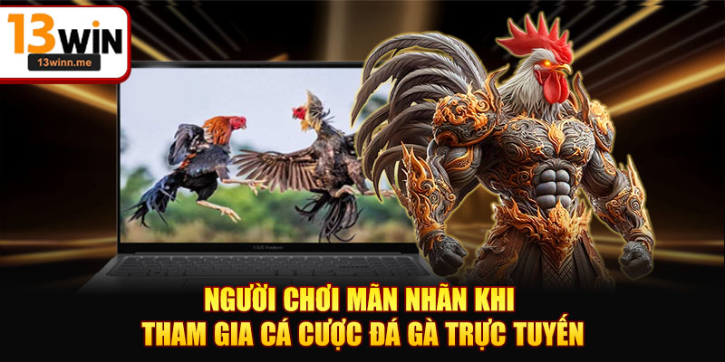 Người chơi mãn nhãn khi tham gia cá cược đá gà trực tuyến