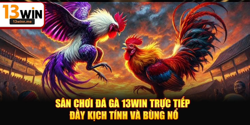 Sân Chơi Đá Gà 13WIN Trực Tiếp Đầy Kịch Tính Và Bùng Nổ