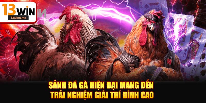 Sảnh đá gà hiện đại mang đến trải nghiệm giải trí đỉnh cao