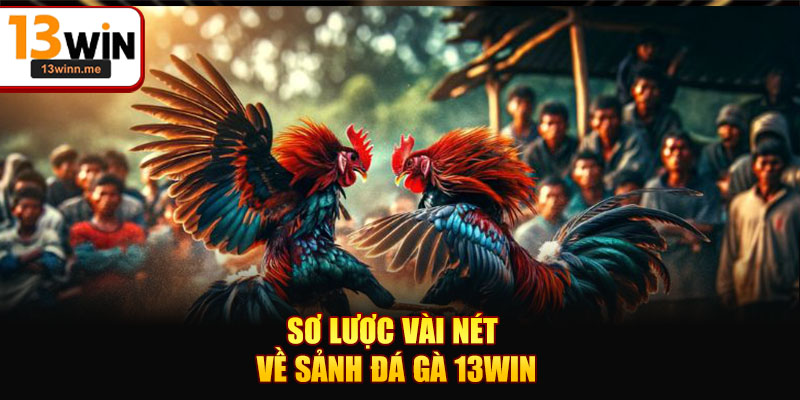 Sơ lược vài nét về sảnh đá gà 13WIN
