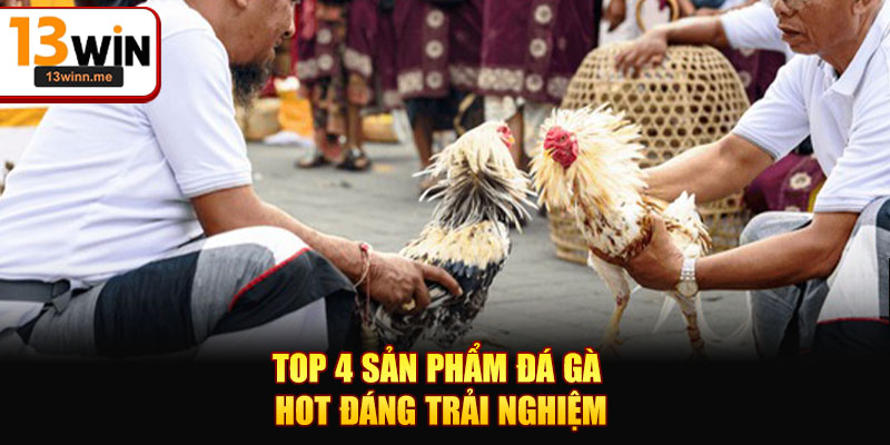 Top 4 sản phẩm đá gà hot đáng trải nghiệm